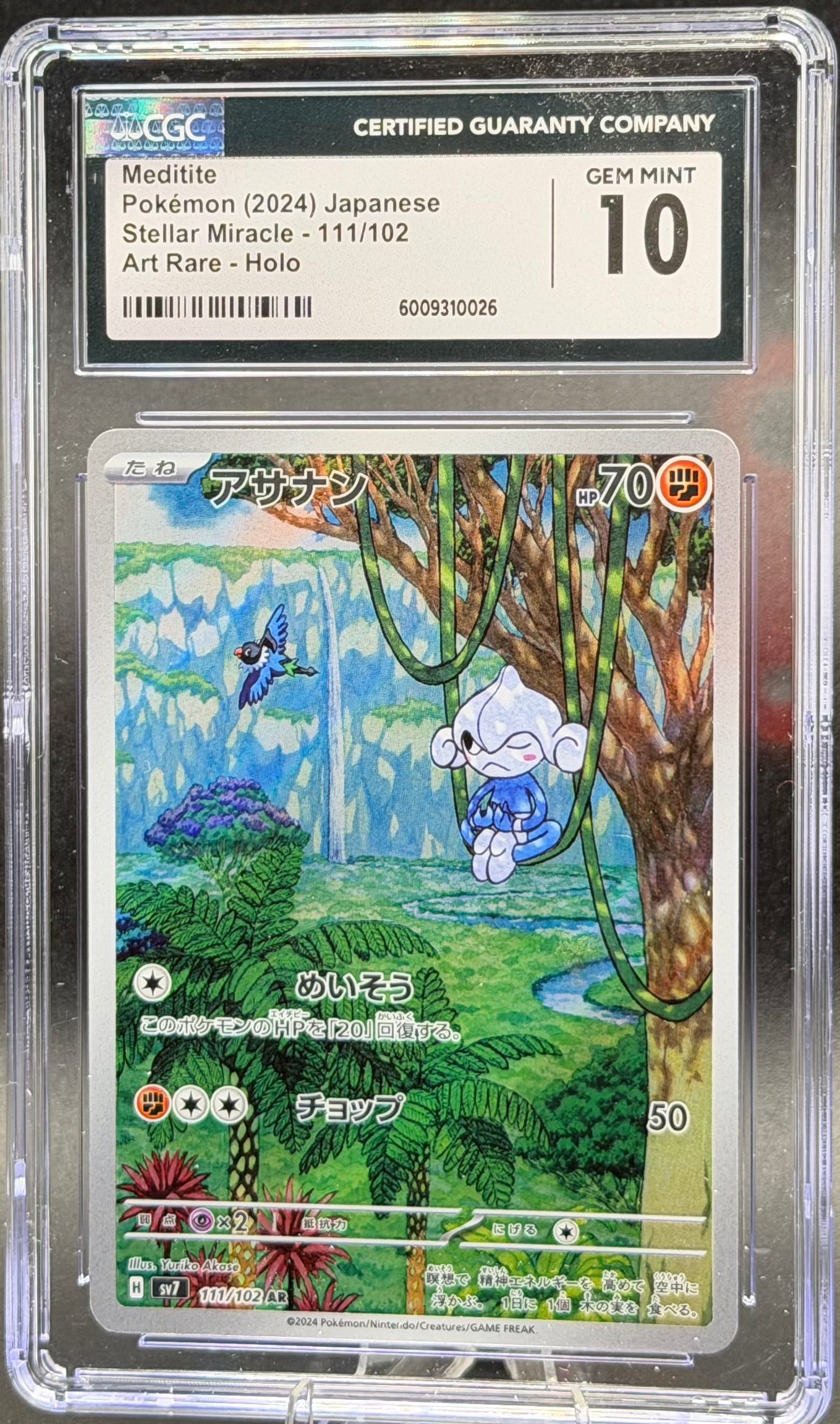 Meditite 111/101 – Japanese – CGC 10